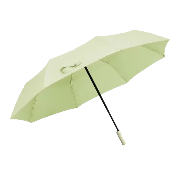 Зонт Konggu Umbrella (YP-SKU:3057249) зеленый