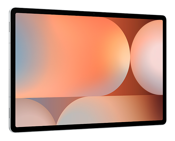 Samsung Galaxy Tab S10+ 12,4" 12/256Gb Wi-Fi Platinum Silver (Серебристый)