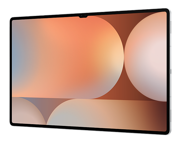 Samsung Galaxy Tab S10 Ultra 14.6" 12/256Gb Wi-Fi Platinum Silver (Серебристый)