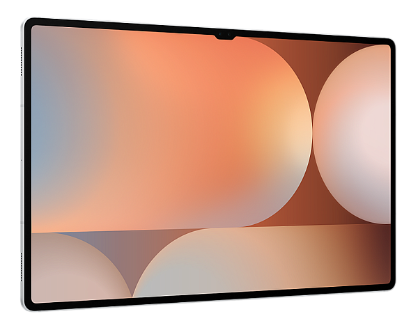 Samsung Galaxy Tab S10 Ultra 14.6" 12/256Gb Wi-Fi Platinum Silver (Серебристый)