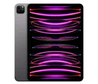 Apple iPad Pro 11 (2022) 256Gb Wi-Fi + Cellular Space Grey (Космический серый) (Global)