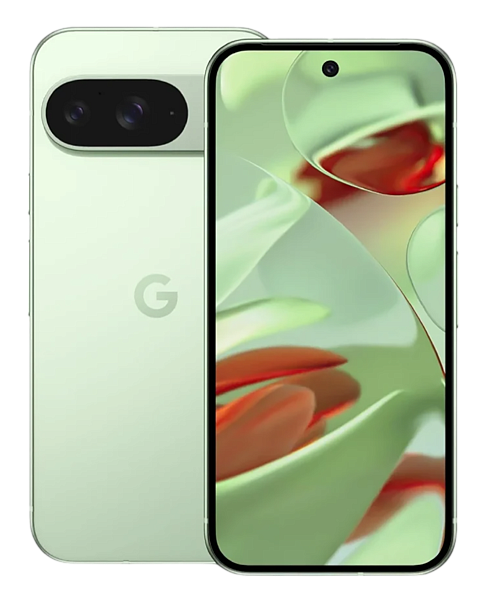 Google Pixel 9 12/256Gb Wintergreen (USA) Sim+eSim