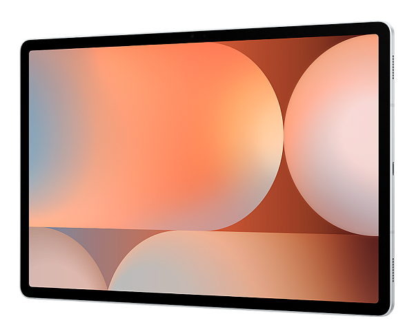 Samsung Galaxy Tab S10+ 12,4" 12/256Gb Wi-Fi Platinum Silver (Серебристый)