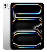 Apple iPad Pro 11 (2024) M4 256Gb Wi-Fi Silver стандартное стекло