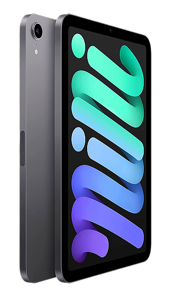 Планшет Apple iPad mini (2021) 256Gb Wi-Fi Space Gray (Серый космос) (Global)