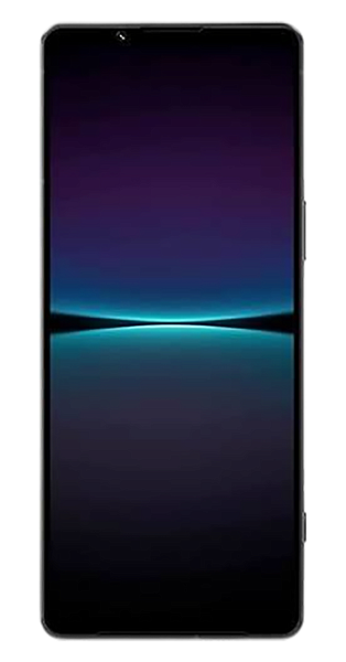 Sony Xperia 1 IV 12/256Gb Black (Черный) (Global) 2Sim