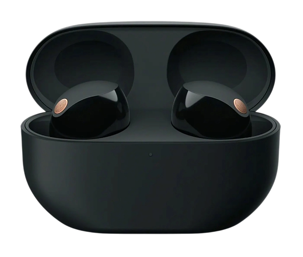 Беспроводные наушники Sony WF-1000XM5 Black (Черный)