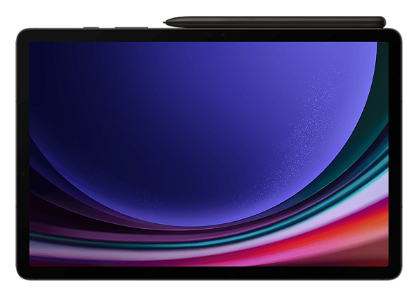 Samsung Galaxy Tab S9 (2023) 12/256Gb Wi-Fi Graphite (Графит)