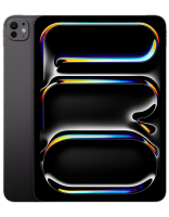 Apple iPad Pro 11 (2024) M4 256Gb Wi-Fi Space Black стандартное стекло