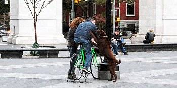 «Крути педали», или веселый способ зарядить ваш iPhone