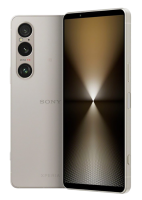 Sony Xperia 1 VI 12/256Gb Platinum Silver (Global) 2Sim