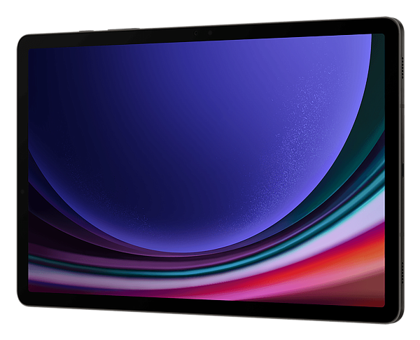 Samsung Galaxy Tab S9 (2023) 12/256Gb Wi-Fi Graphite (Графит)