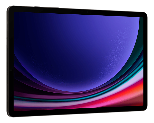 Samsung Galaxy Tab S9 (2023) 8/128Gb Wi-Fi Graphite (Графит)